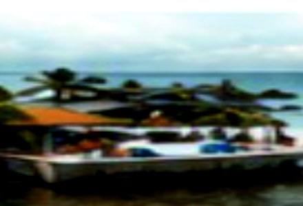 Tropical dive resort